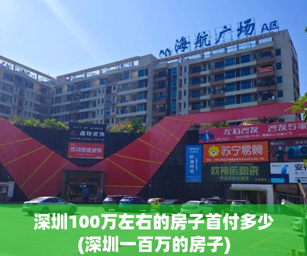 深圳100万左右的房子首付多少(深圳一百万的房子)