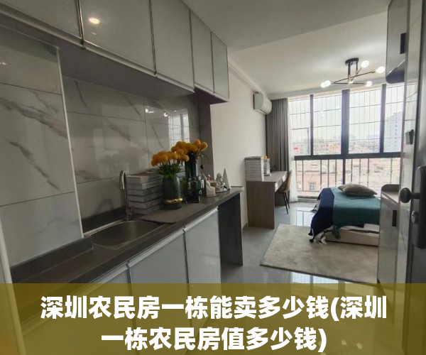 深圳农民房一栋能卖多少钱(深圳一栋农民房值多少钱)