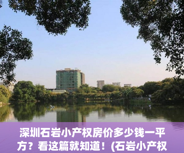 深圳石岩小产权房价多少钱一平方？看这篇就知道！(石岩小产权拆了能赔偿吗)
