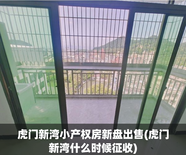 虎门新湾小产权房新盘出售(虎门新湾什么时候征收)