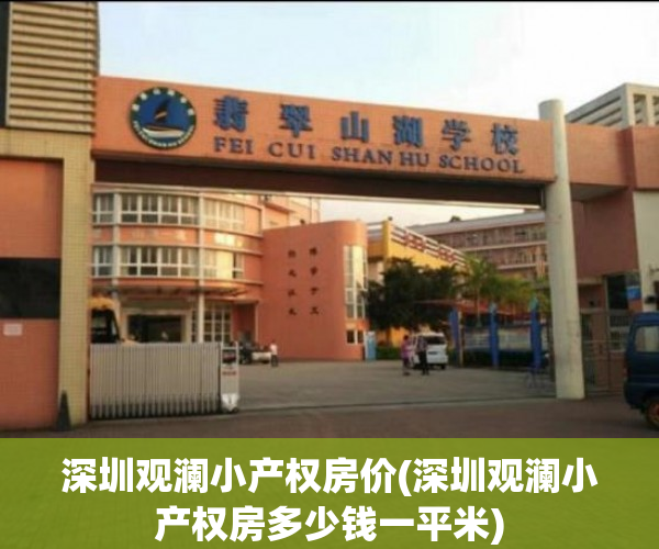 深圳观澜小产权房价(深圳观澜小产权房多少钱一平米)