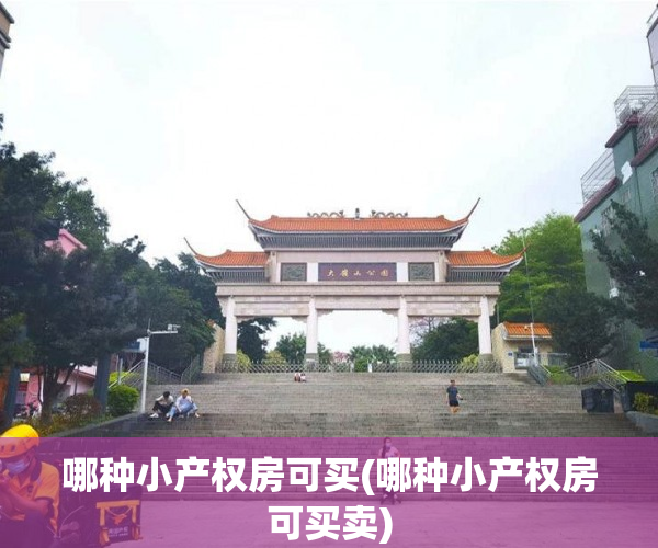 哪种小产权房可买(哪种小产权房可买卖) 哪种小产权房可买(哪种小产权房可买卖)
