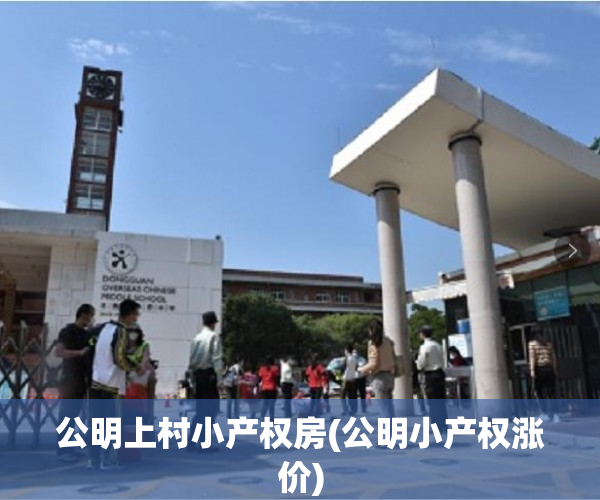 公明上村小产权房(公明小产权涨价) 公明上村小产权房(公明小产权涨价)