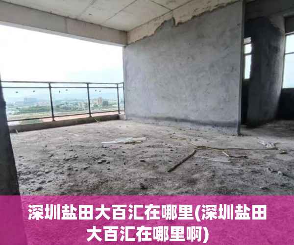 深圳盐田大百汇在哪里(深圳盐田大百汇在哪里啊) 深圳盐田大百汇在哪里(深圳盐田大百汇在哪里啊)