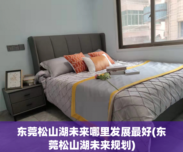 东莞松山湖未来哪里发展最好(东莞松山湖未来规划)