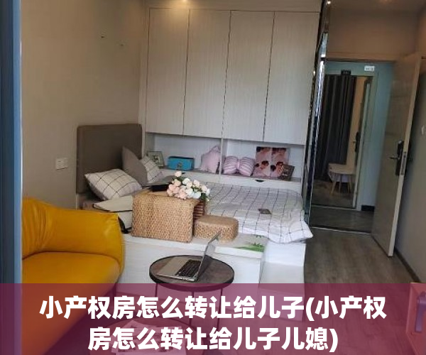 小产权房怎么转让给儿子(小产权房怎么转让给儿子儿媳)