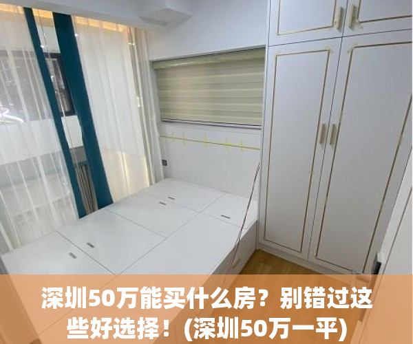 深圳50万能买什么房？别错过这些好选择！(深圳50万一平)