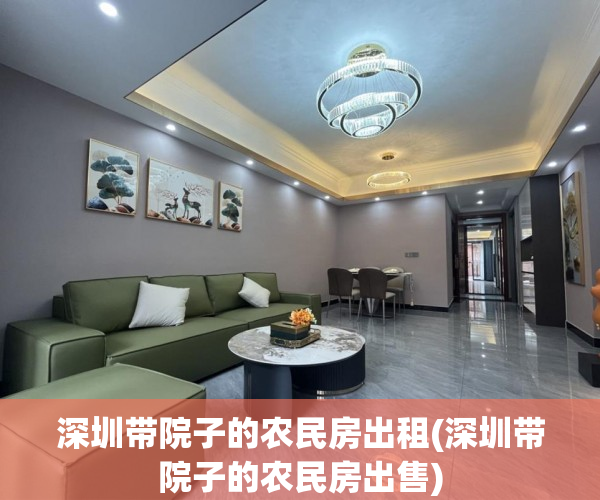 深圳带院子的农民房出租(深圳带院子的农民房出售)