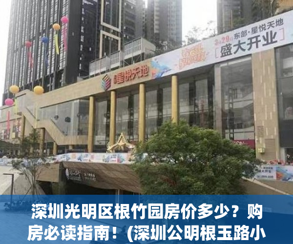 深圳光明区根竹园房价多少？购房必读指南！(深圳公明根玉路小产权根竹园二手房最新房价)