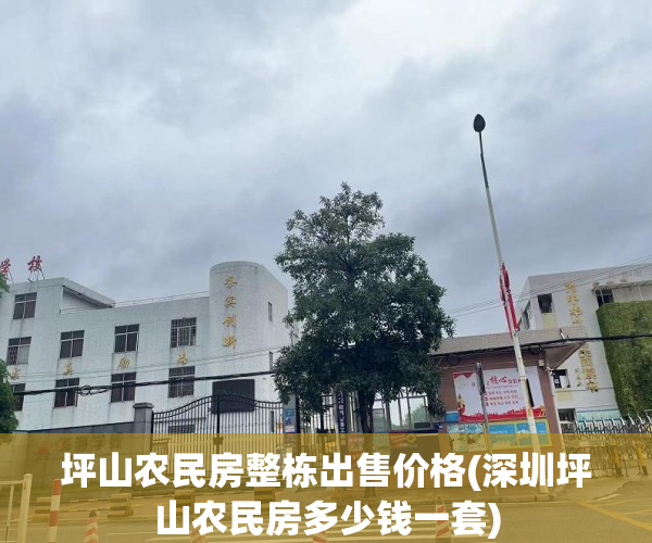 坪山农民房整栋出售价格(深圳坪山农民房多少钱一套) 坪山农民房整栋出售价格(深圳坪山农民房多少钱一套)