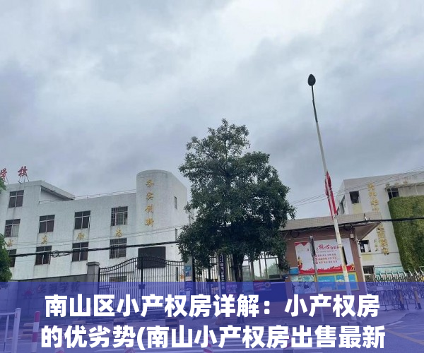 南山区小产权房详解：小产权房的优劣势(南山小产权房出售最新消息)