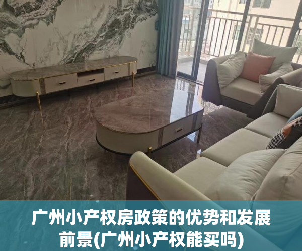 广州小产权房政策的优势和发展前景(广州小产权能买吗)