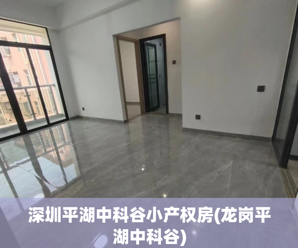 深圳平湖中科谷小产权房(龙岗平湖中科谷) 深圳平湖中科谷小产权房(龙岗平湖中科谷)