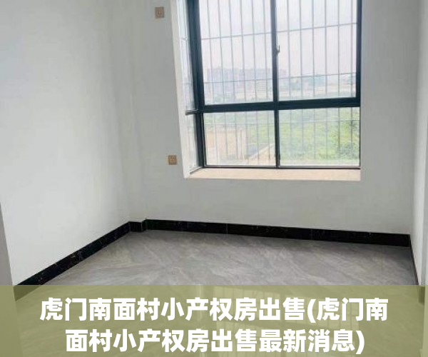 虎门南面村小产权房出售(虎门南面村小产权房出售最新消息)