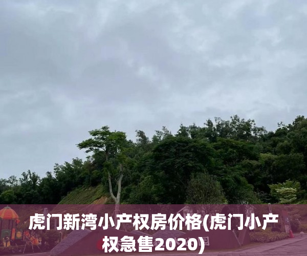 虎门新湾小产权房价格(虎门小产权急售2020)