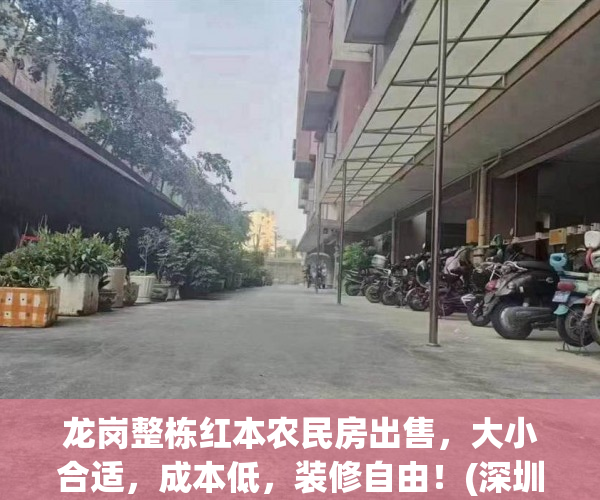 龙岗整栋红本农民房出售，大小合适，成本低，装修自由！(深圳龙岗二手农民房出售)