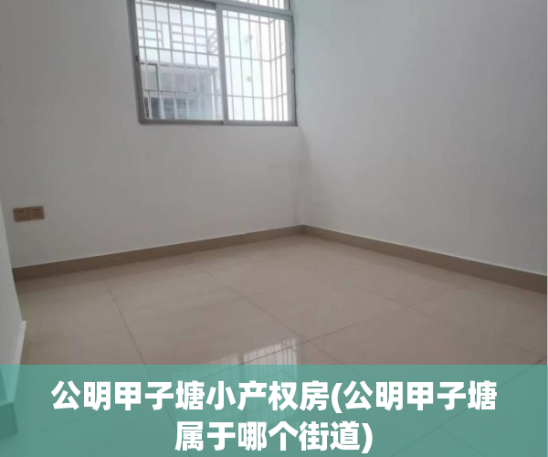 公明甲子塘小产权房(公明甲子塘属于哪个街道)