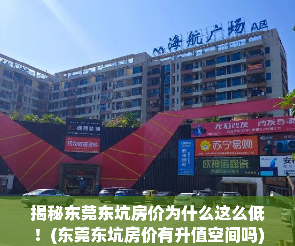 揭秘东莞东坑房价为什么这么低！(东莞东坑房价有升值空间吗)