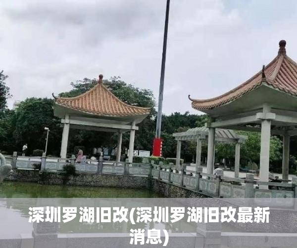 深圳罗湖旧改(深圳罗湖旧改最新消息)