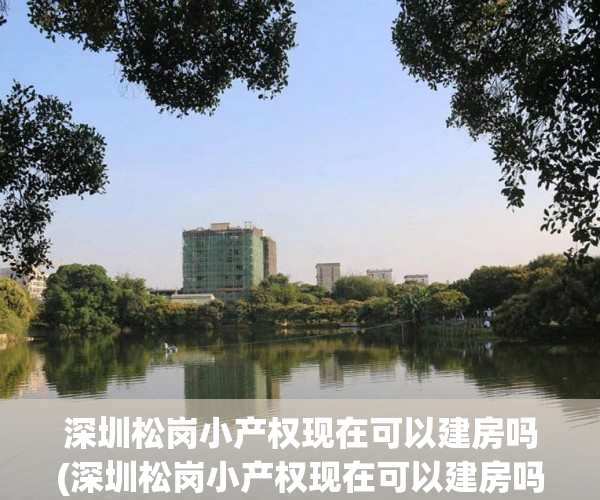 深圳松岗小产权现在可以建房吗(深圳松岗小产权现在可以建房吗最新消息) 深圳松岗小产权现在可以建房吗(深圳松岗小产权现在可以建房吗最新消息)