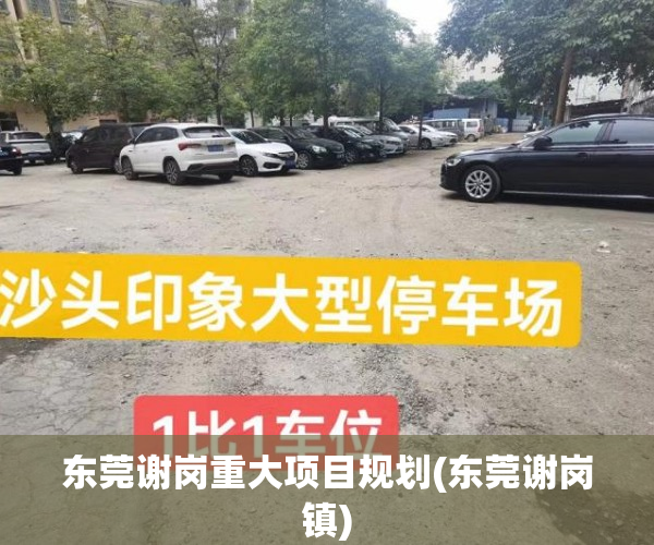 东莞谢岗重大项目规划(东莞谢岗镇) 东莞谢岗重大项目规划(东莞谢岗镇)