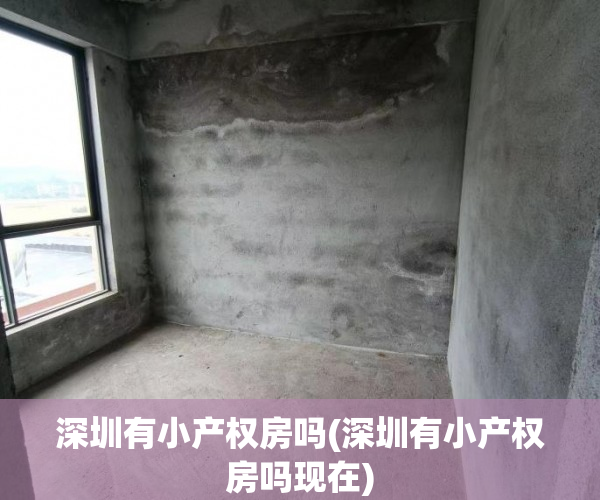 深圳有小产权房吗(深圳有小产权房吗现在) 深圳有小产权房吗(深圳有小产权房吗现在)