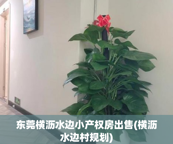 东莞横沥水边小产权房出售(横沥水边村规划) 东莞横沥水边小产权房出售(横沥水边村规划)