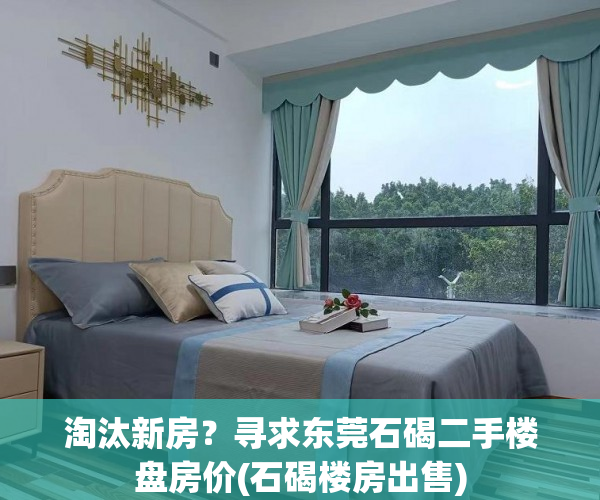 淘汰新房？寻求东莞石碣二手楼盘房价(石碣楼房出售)