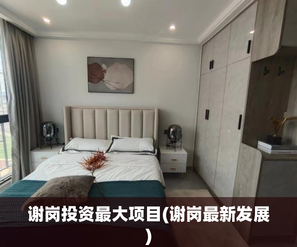 谢岗投资最大项目(谢岗最新发展) 谢岗投资最大项目(谢岗最新发展)