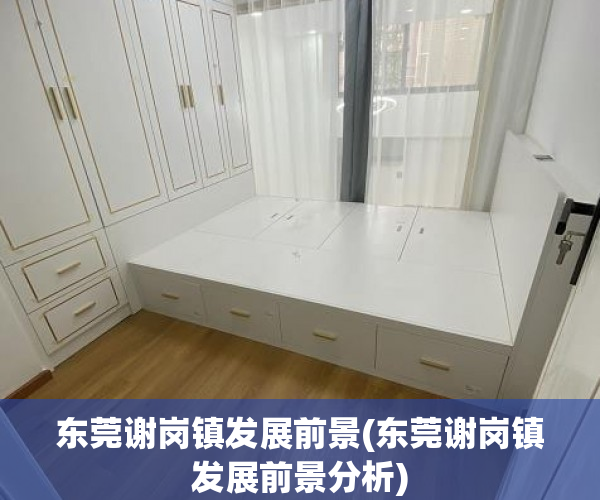 东莞谢岗镇发展前景(东莞谢岗镇发展前景分析) 东莞谢岗镇发展前景(东莞谢岗镇发展前景分析)