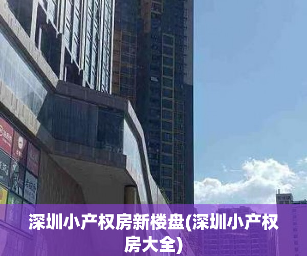 深圳小产权房新楼盘(深圳小产权房大全)