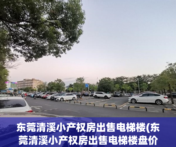 东莞清溪小产权房出售电梯楼(东莞清溪小产权房出售电梯楼盘价格) 东莞清溪小产权房出售电梯楼(东莞清溪小产权房出售电梯楼盘价格)
