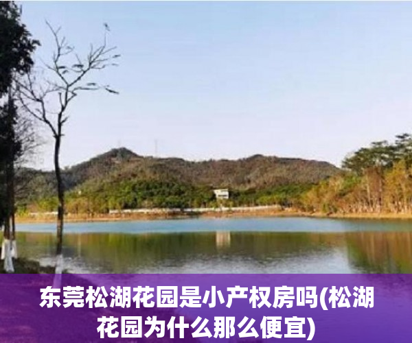 东莞松湖花园是小产权房吗(松湖花园为什么那么便宜) 东莞松湖花园是小产权房吗(松湖花园为什么那么便宜)