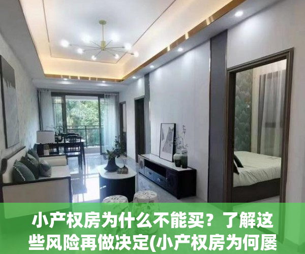 小产权房为什么不能买？了解这些风险再做决定(小产权房为何屡禁不止)