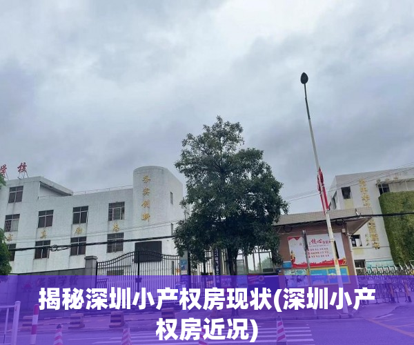 揭秘深圳小产权房现状(深圳小产权房近况)
