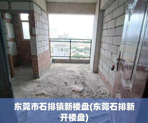 东莞市石排镇新楼盘(东莞石排新开楼盘) 东莞市石排镇新楼盘(东莞石排新开楼盘)