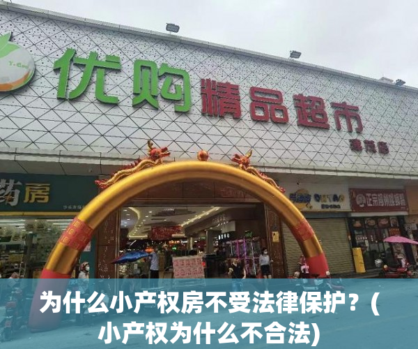 为什么小产权房不受法律保护？(小产权为什么不合法)