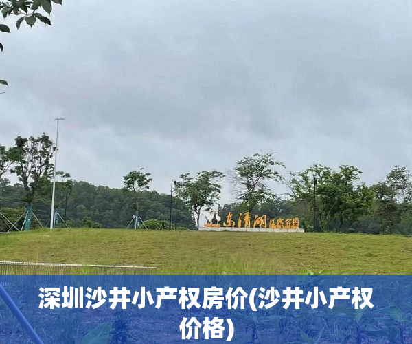 深圳沙井小产权房价(沙井小产权价格)