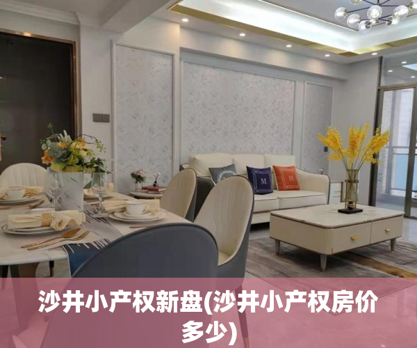 沙井小产权新盘(沙井小产权房价多少)