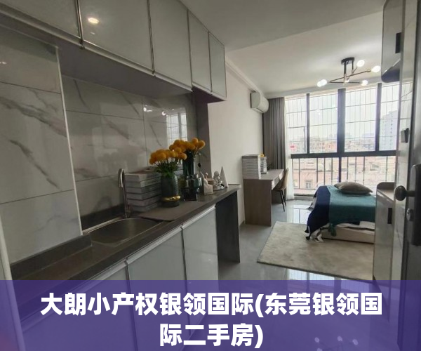 大朗小产权银领国际(东莞银领国际二手房) 大朗小产权银领国际(东莞银领国际二手房)