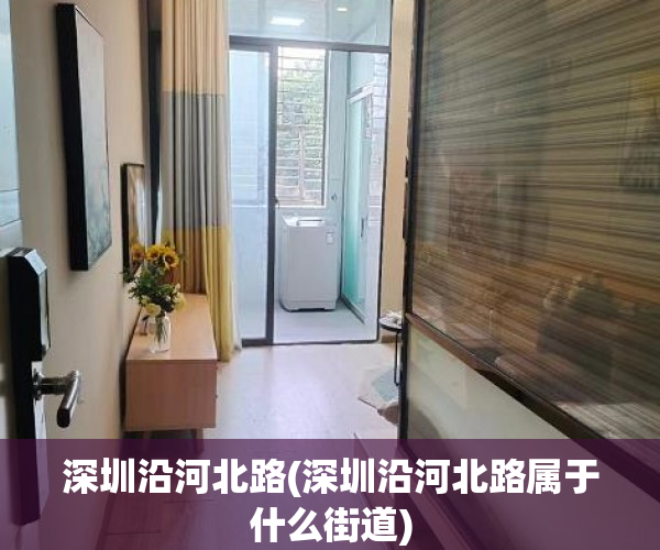 深圳沿河北路(深圳沿河北路属于什么街道)