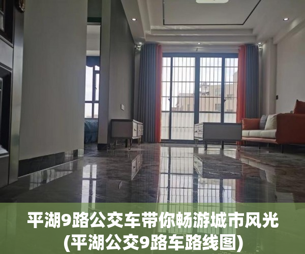 平湖9路公交车带你畅游城市风光(平湖公交9路车路线图)
