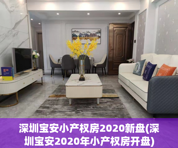 深圳宝安小产权房2020新盘(深圳宝安2020年小产权房开盘)