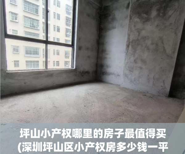 坪山小产权哪里的房子最值得买(深圳坪山区小产权房多少钱一平方?) 坪山小产权哪里的房子最值得买(深圳坪山区小产权房多少钱一平方?)
