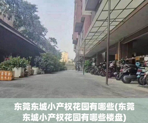 东莞东城小产权花园有哪些(东莞东城小产权花园有哪些楼盘) 东莞东城小产权花园有哪些(东莞东城小产权花园有哪些楼盘)