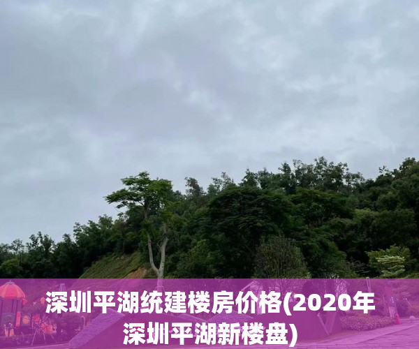 深圳平湖统建楼房价格(2020年深圳平湖新楼盘) 深圳平湖统建楼房价格(2020年深圳平湖新楼盘)