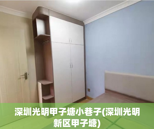 深圳光明甲子塘小巷子(深圳光明新区甲子塘)