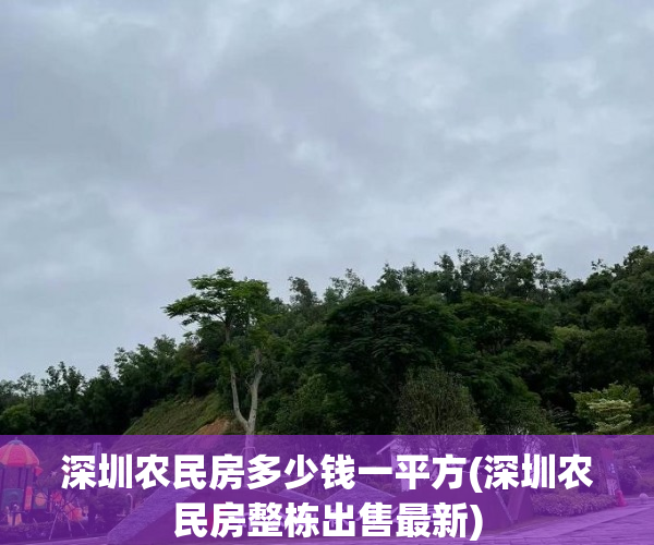 深圳农民房多少钱一平方(深圳农民房整栋出售最新)