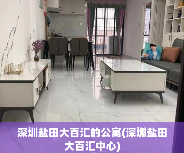 深圳盐田大百汇的公寓(深圳盐田大百汇中心) 深圳盐田大百汇的公寓(深圳盐田大百汇中心)