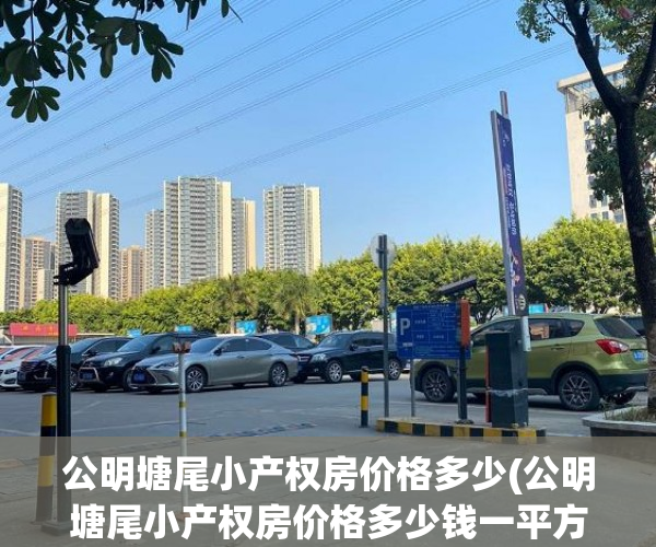 公明塘尾小产权房价格多少(公明塘尾小产权房价格多少钱一平方)